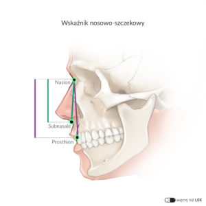 Kopia LDEK Ortodoncja Badanie – Wskaźnik nosowo-szczekowy