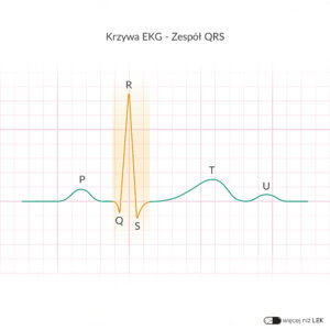 Krzywa EKG – Zespół QRS